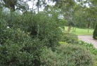 Middleton Grangeresidential-landscaping-35.jpg; ?>