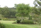 Middleton Grangeresidential-landscaping-40.jpg; ?>